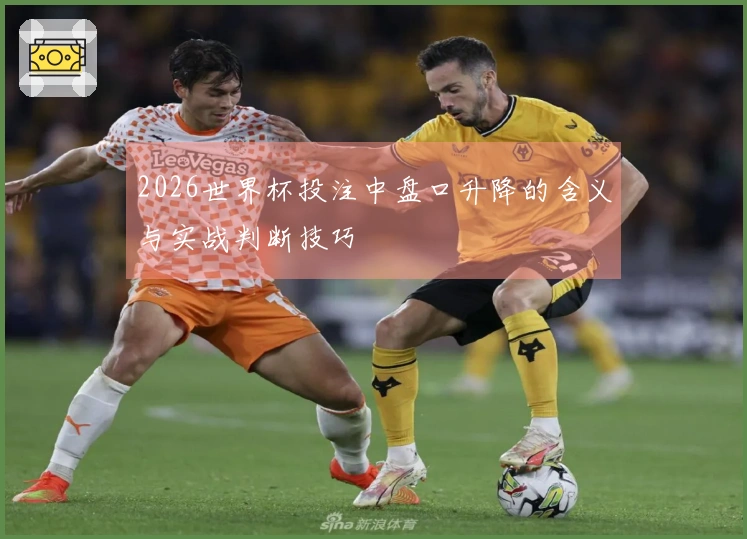 2026世界杯投注中盘口升降的含义与实战判断技巧
