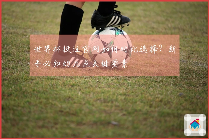 世界杯投注官网如何对比选择？新手必知的几点关键要素