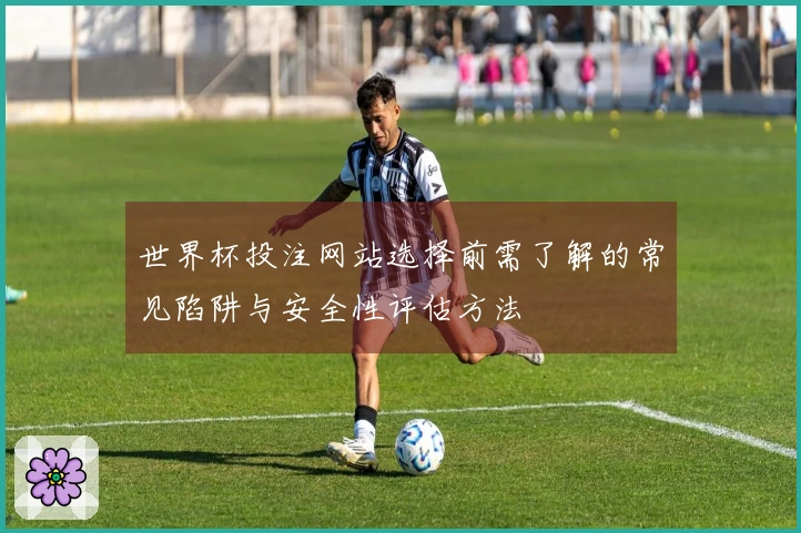 世界杯投注网站选择前需了解的常见陷阱与安全性评估方法