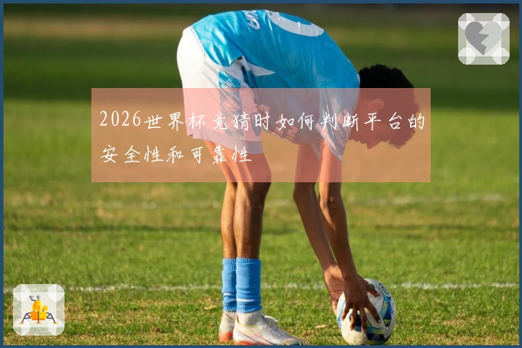 2026世界杯竞猜时如何判断平台的安全性和可靠性