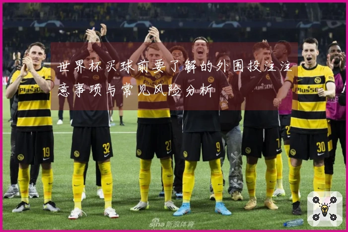 世界杯买球前要了解的外围投注注意事项与常见风险分析