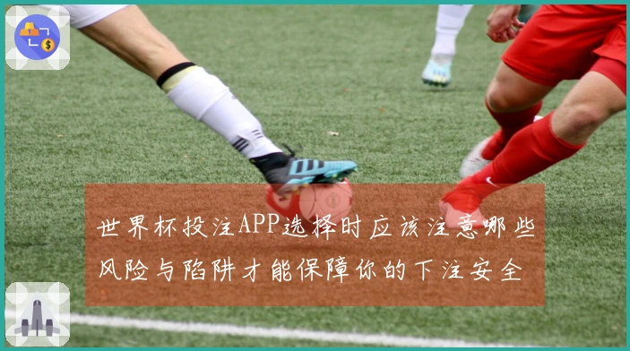 世界杯投注APP选择时应该注意哪些风险与陷阱才能保障你的下注安全