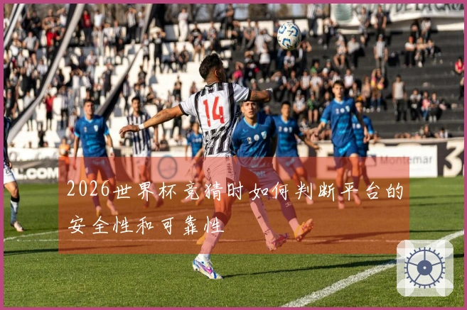 2026世界杯竞猜时如何判断平台的安全性和可靠性