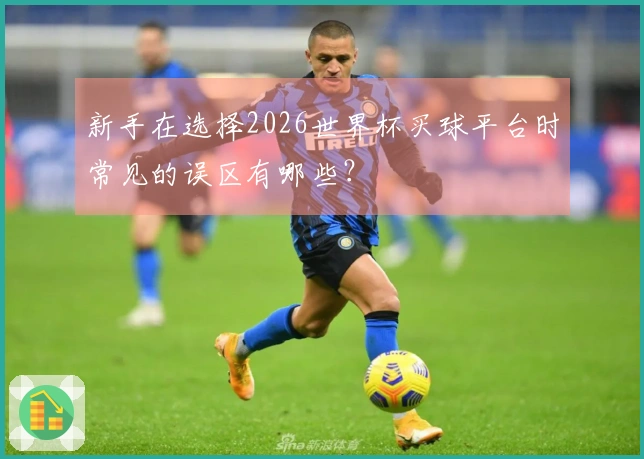 新手在选择2026世界杯买球平台时常见的误区有哪些？