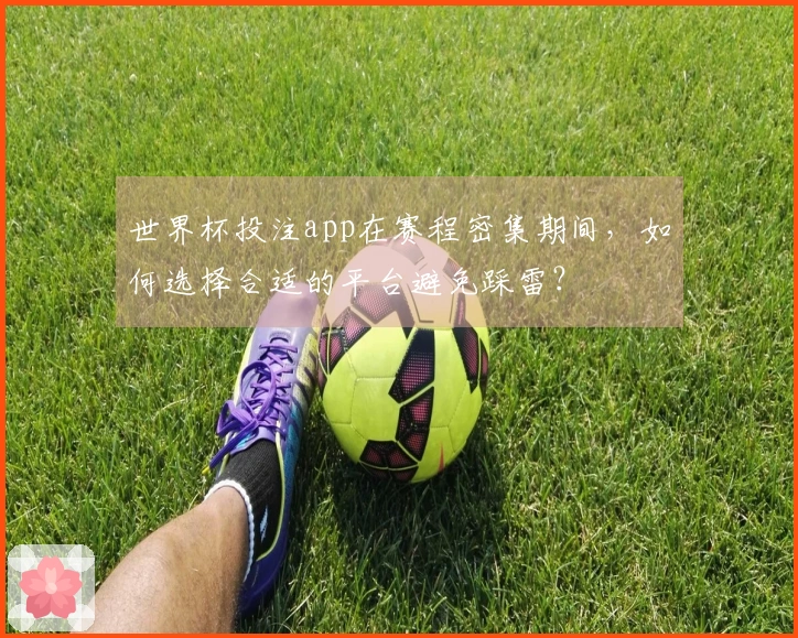 世界杯投注app在赛程密集期间，如何选择合适的平台避免踩雷？