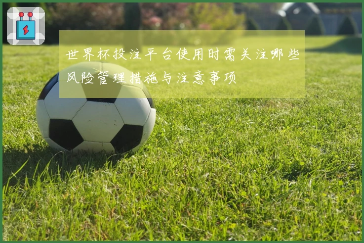 世界杯投注平台使用时需关注哪些风险管理措施与注意事项